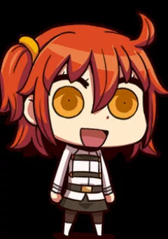 FGO collection