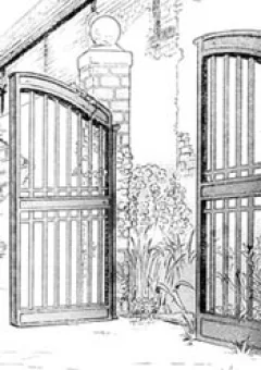 Window